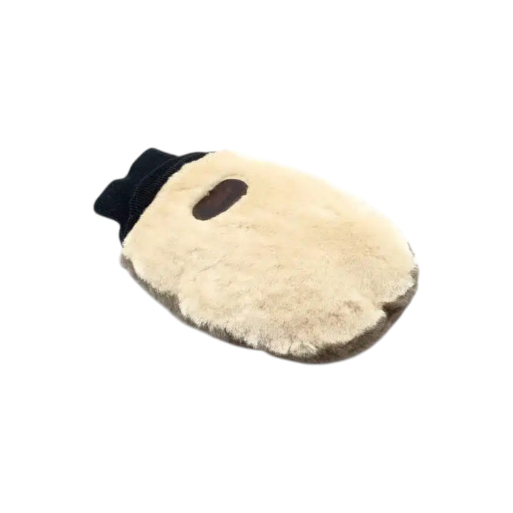 GANTS LUSTRER