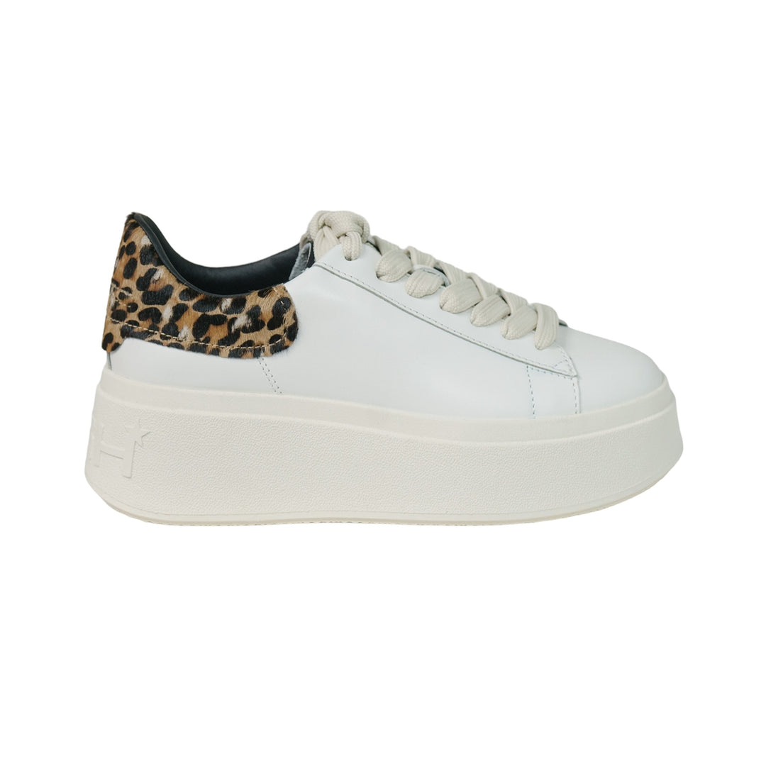 immagine-1-ash-ash-moby-strass-soft-nappa-bianco-leopardato-sneakers-moby-leopard